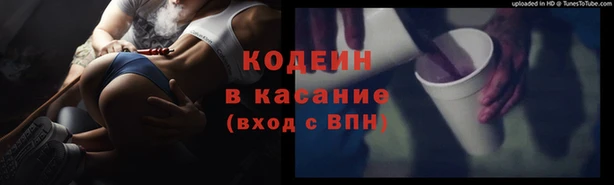 индика Киреевск