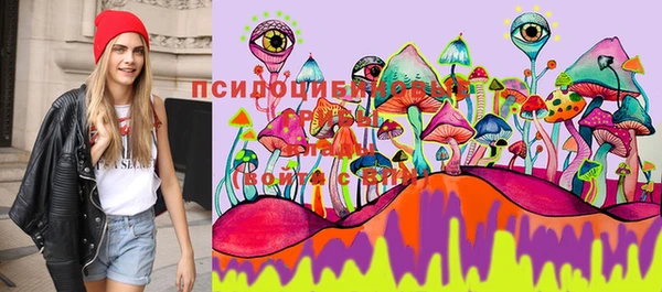 ECSTASY Кодинск