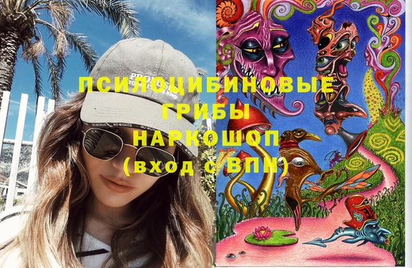 СК Новокубанск