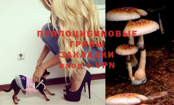 ECSTASY Кодинск