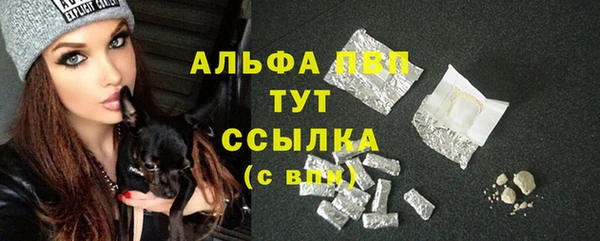 ECSTASY Кодинск