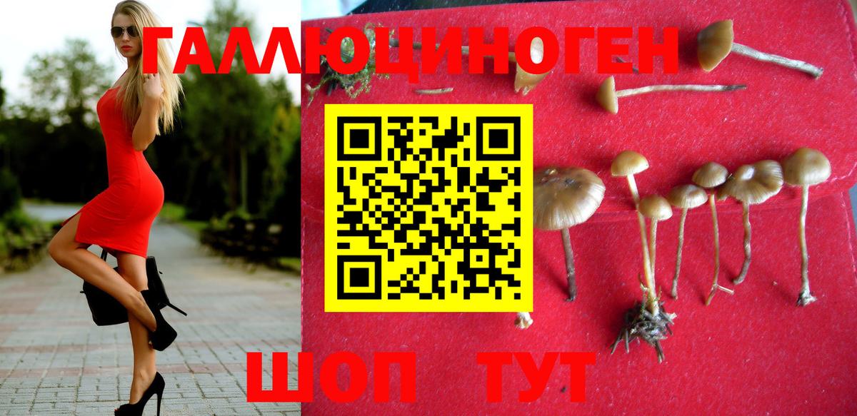 Галлюциногенные грибы Cubensis Бугуруслан