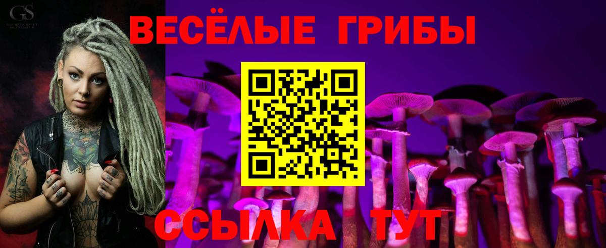 Псилоцибиновые грибы MAGIC MUSHROOMS  Галлюциногенные грибы GOLDEN TEACHER  Бугуруслан 